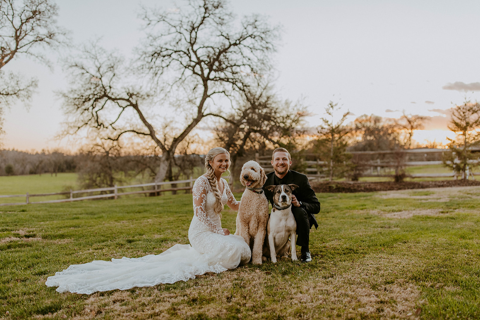 a couple poses with their dogs for a photo on their wedding day in bride and groom attire

